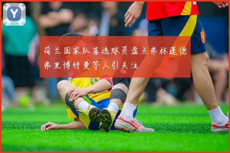 荷兰国家队落选球员盘点弗林蓬德弗里博特曼等人引关注