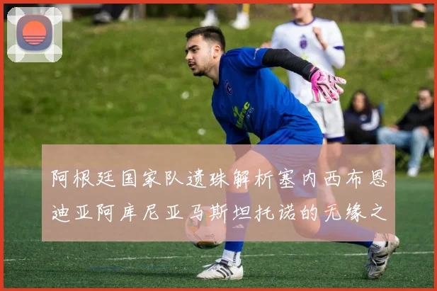 阿根廷国家队遗珠解析塞内西布恩迪亚阿库尼亚马斯坦托诺的无缘之路