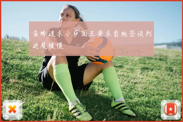 黄蜂追求小萨国王要求首轮签谈判进展缓慢